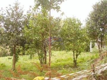 Ortifin_Casa Coleirado-3